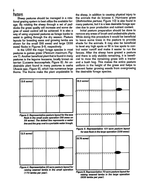 Hair sheep production in the U.S. Virgin Islands - Page 6