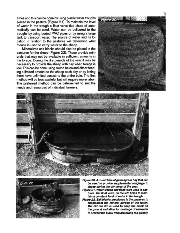 Hair sheep production in the U.S. Virgin Islands - Page 13