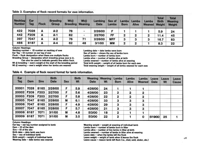 Hair sheep production in the U.S. Virgin Islands - Page 15