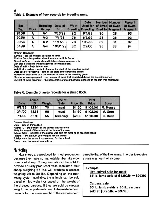 Hair sheep production in the U.S. Virgin Islands - Page 16