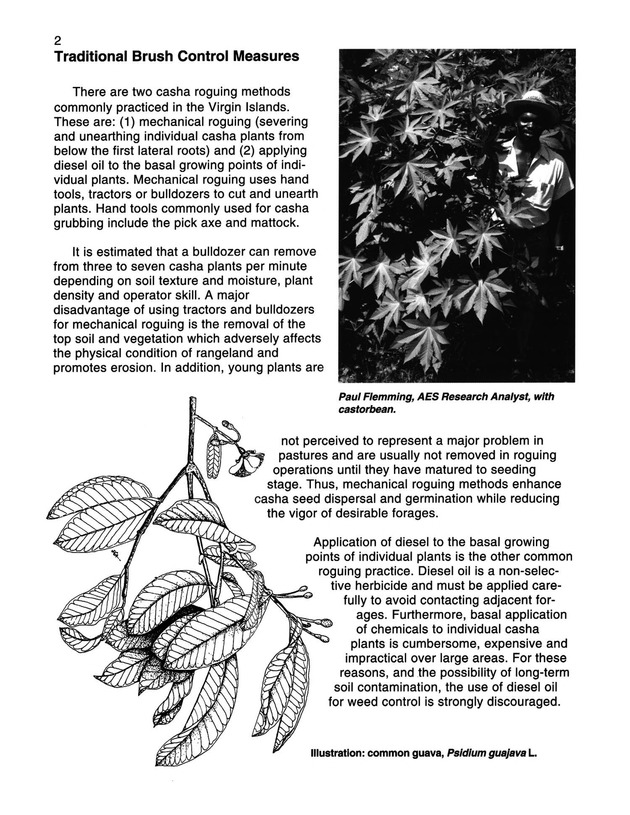 Pasture brush weed control in the Virgin Islands  - Page 2