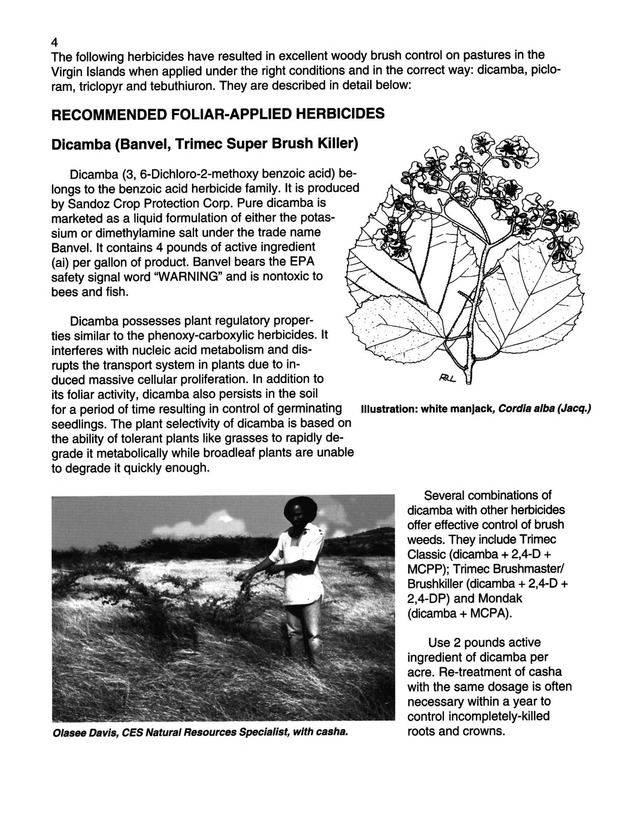 Pasture brush weed control in the Virgin Islands  - Page 4