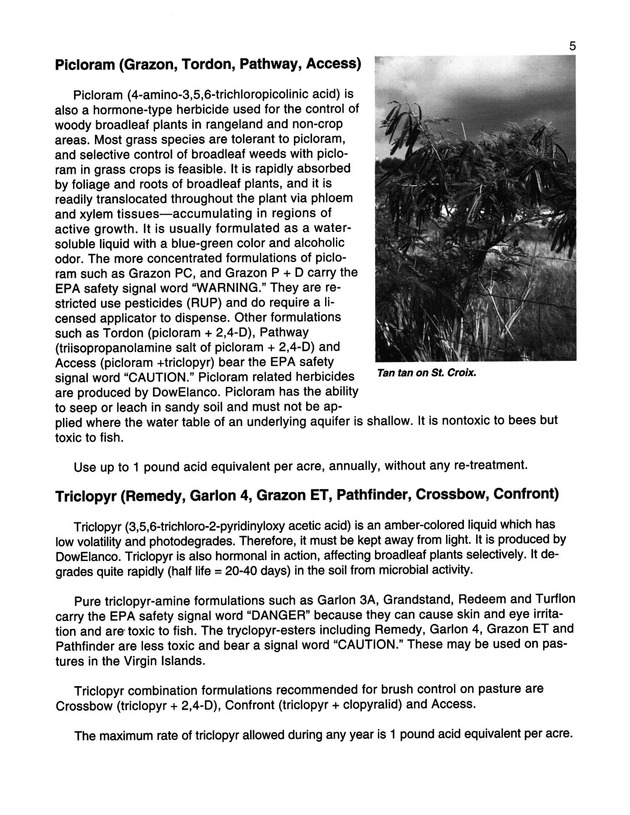 Pasture brush weed control in the Virgin Islands  - Page 5