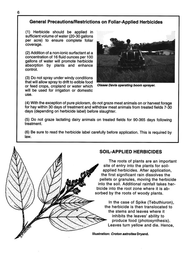 Pasture brush weed control in the Virgin Islands  - Page 6