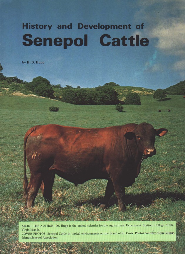 Senepol Cattle: History and development - Page 1