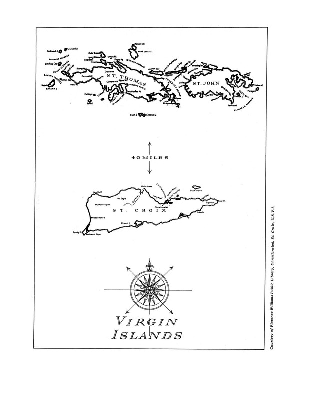 Virgin Islands forestry research - Page vi