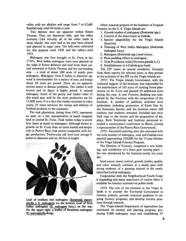 Virgin Islands forestry research - Page 9