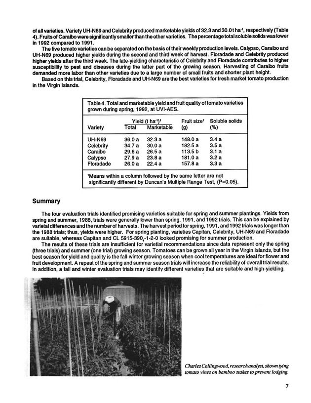 Yield performance of selected vegetable varieties in the U.S. Virgin Islands, 1988-1992 - Page 7