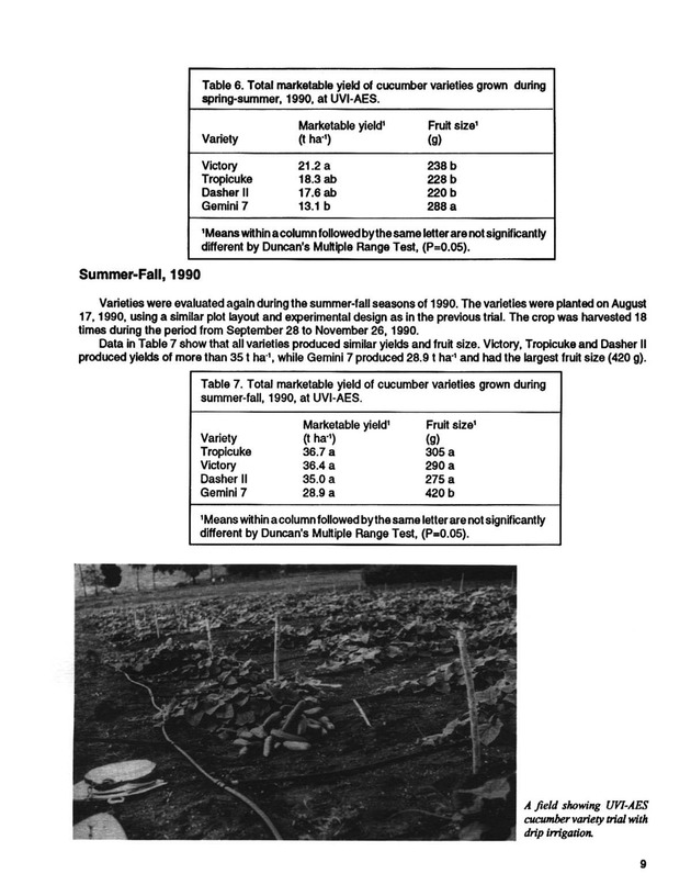 Yield performance of selected vegetable varieties in the U.S. Virgin Islands, 1988-1992 - Page 9