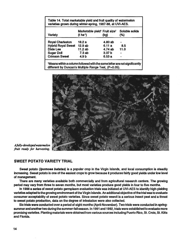 Yield performance of selected vegetable varieties in the U.S. Virgin Islands, 1988-1992 - Page 14