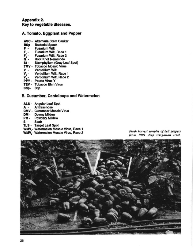 Yield performance of selected vegetable varieties in the U.S. Virgin Islands, 1988-1992 - Page 26