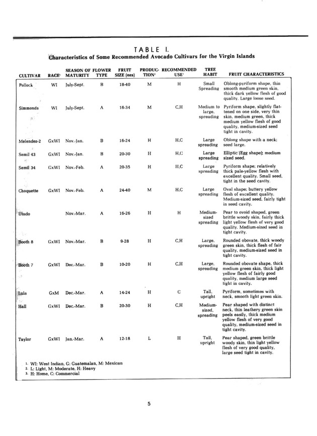 Avocado production & marketing - Page 5