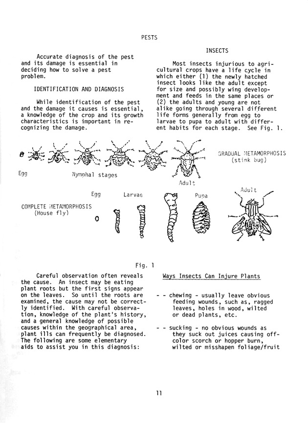 Commercial pesticides applicator manual - Page 11