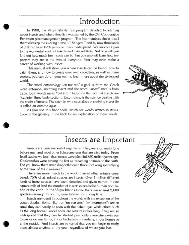 Island insects: Handbook for insect study - Page 1