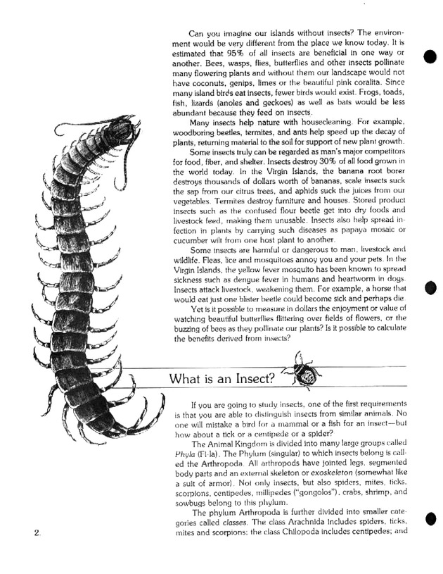 Island insects: Handbook for insect study - Page 2