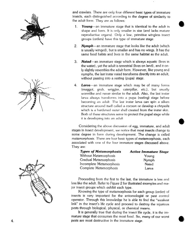 Island insects: Handbook for insect study - Page 4