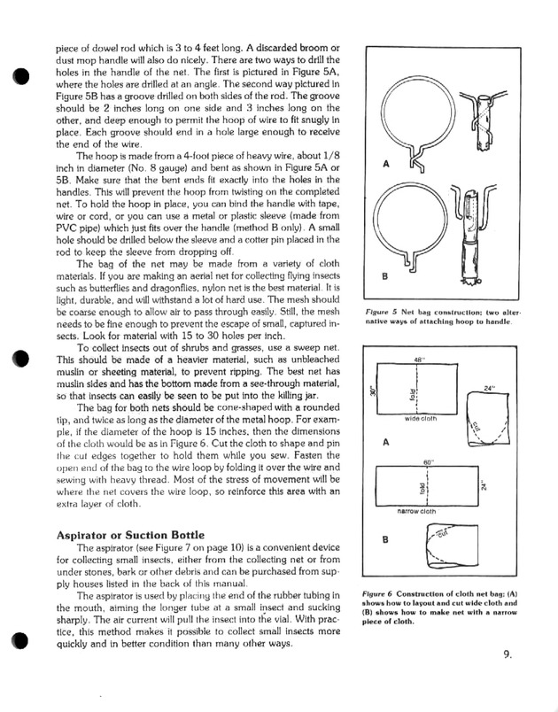 Island insects: Handbook for insect study - Page 9