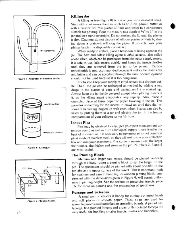 Island insects: Handbook for insect study - Page 10