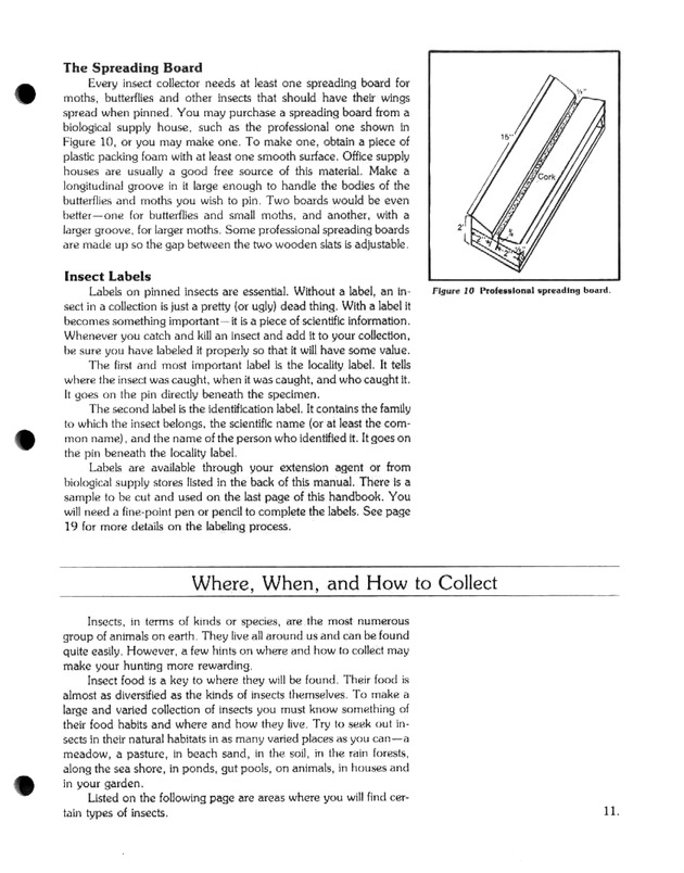 Island insects: Handbook for insect study - Page 11