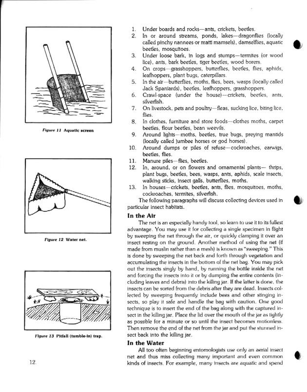 Island insects: Handbook for insect study - Page 12