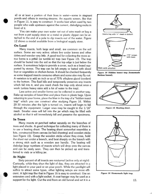 Island insects: Handbook for insect study - Page 13