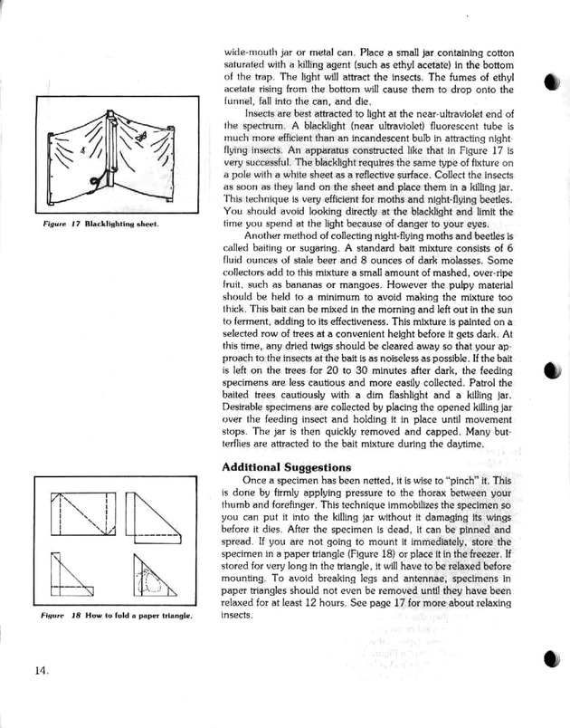 Island insects: Handbook for insect study - Page 14