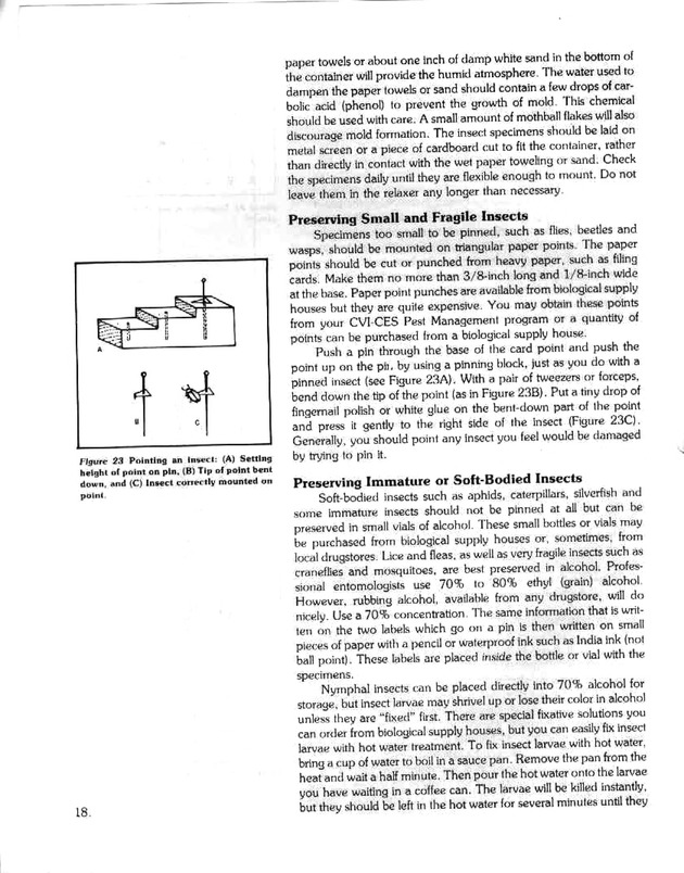 Island insects: Handbook for insect study - Page 18