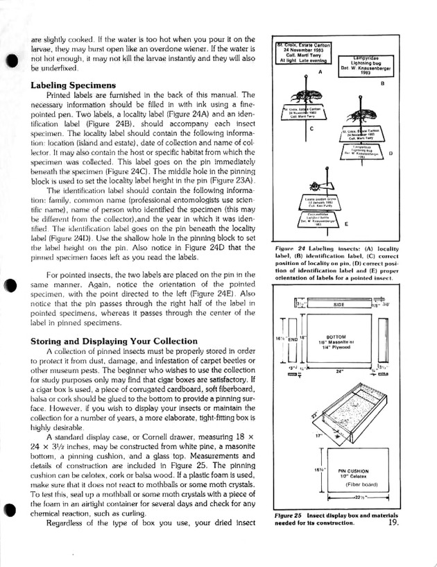 Island insects: Handbook for insect study - Page 19