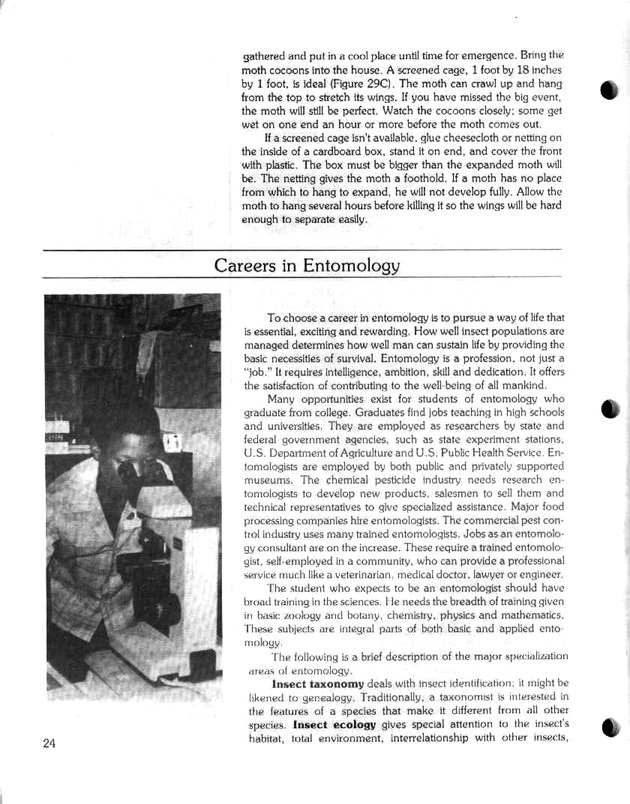 Island insects: Handbook for insect study - Page 24