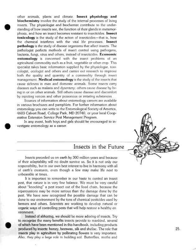 Island insects: Handbook for insect study - Page 25