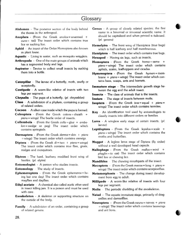 Island insects: Handbook for insect study - Page 28