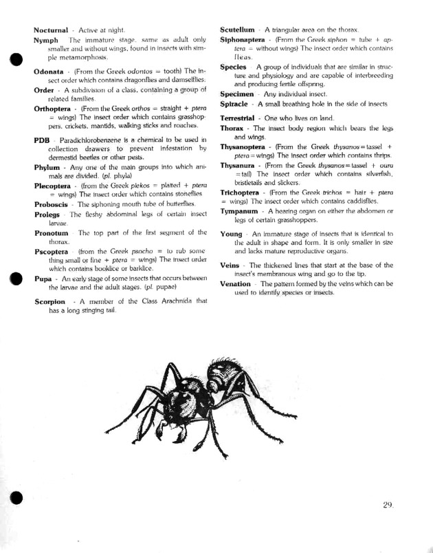 Island insects: Handbook for insect study - Page 29