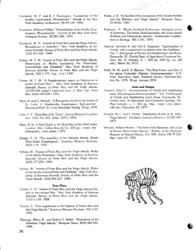 Island insects: Handbook for insect study - Page 34