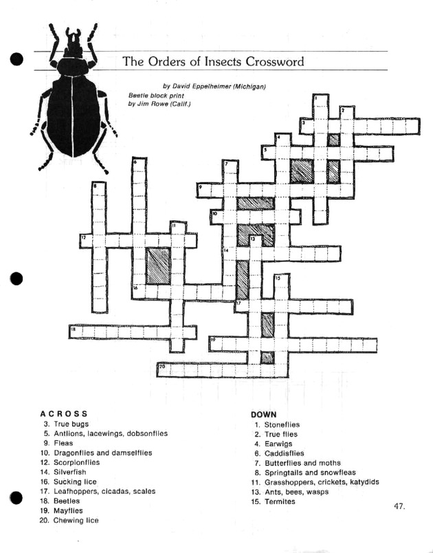 Island insects: Handbook for insect study - Page 47