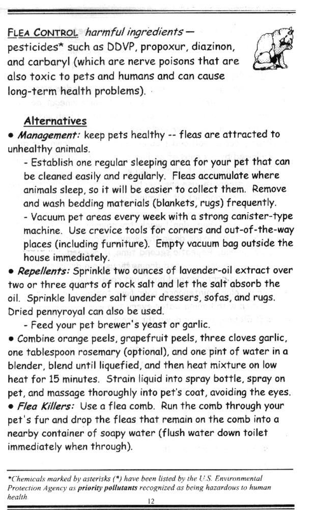 Recipes for a non-toxic household - Page 12