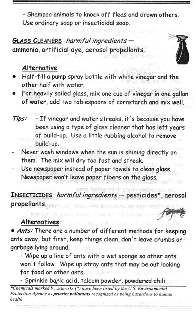 Recipes for a non-toxic household - Page 13