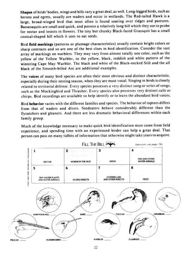 Virgin Islands birdlife - Page 22