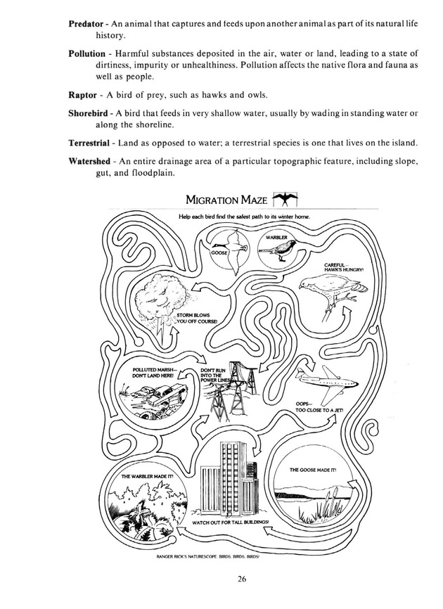 Virgin Islands birdlife - Page 26