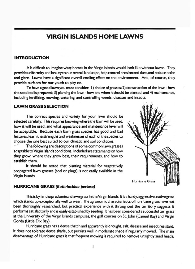 Virgin Islands home lawns - Page 1