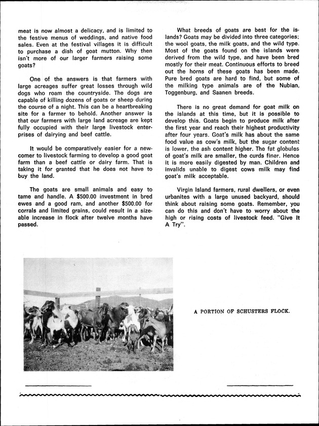 Annual Agriculture and Food Fair of the Virgin Islands - Page 25