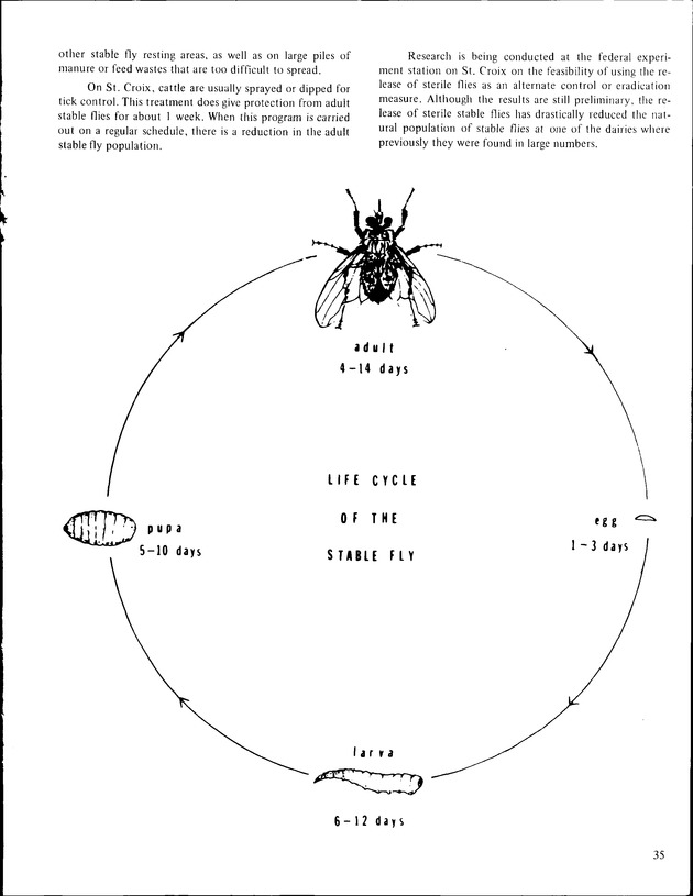 Annual Agriculture and Food Fair of the Virgin Islands - Page 35