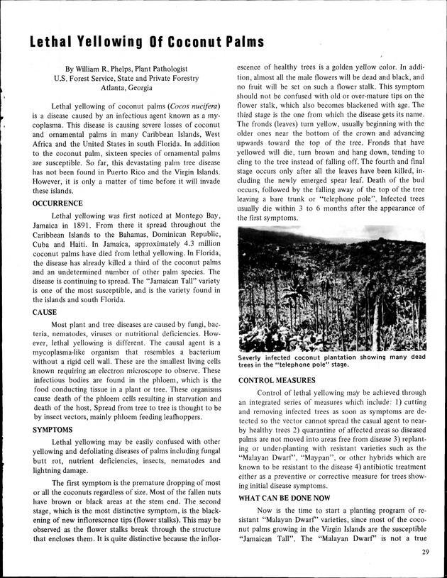 Annual Agriculture and Food Fair of the Virgin Islands - Page 29