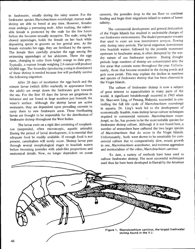 Annual Agriculture and Food Fair of the Virgin Islands - Page 46