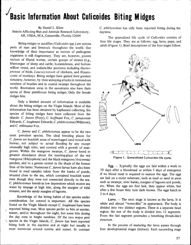 Annual Agriculture and Food Fair of the Virgin Islands - Page 57