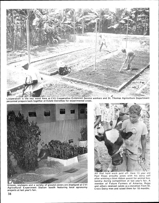 Annual Agriculture and Food Fair of the Virgin Islands - Page 38