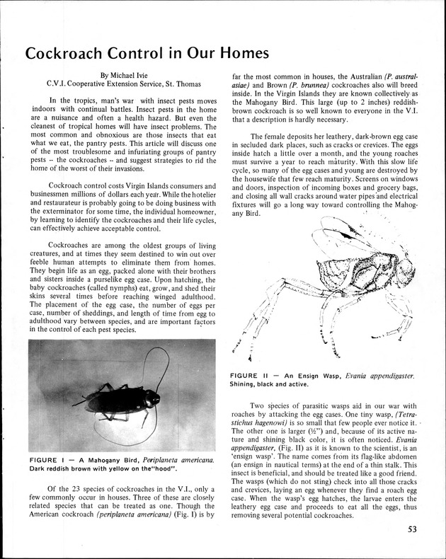 Annual Agriculture and Food Fair of the Virgin Islands - Page 53