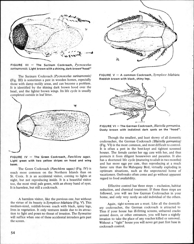 Annual Agriculture and Food Fair of the Virgin Islands - Page 54