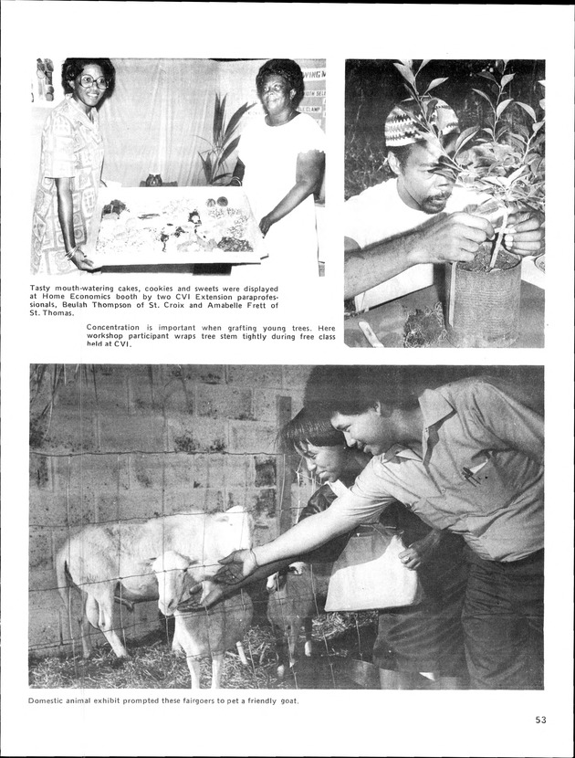 Annual Agriculture and Food Fair of the Virgin Islands - Page 53