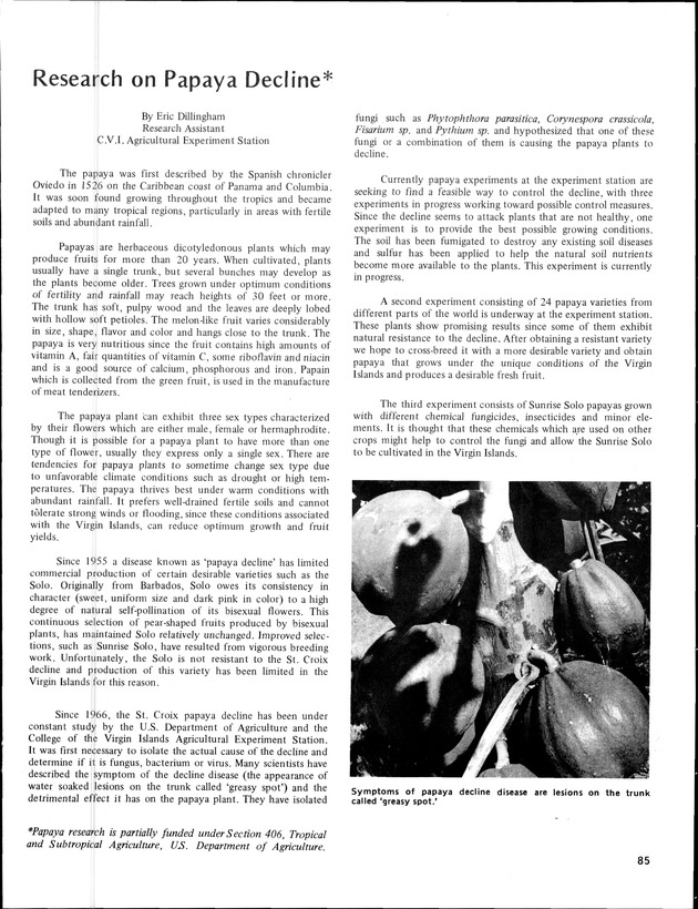 Annual Agriculture and Food Fair of the Virgin Islands - Page 85