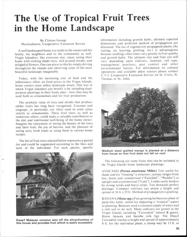 Annual Agriculture and Food Fair of the Virgin Islands - Page 35